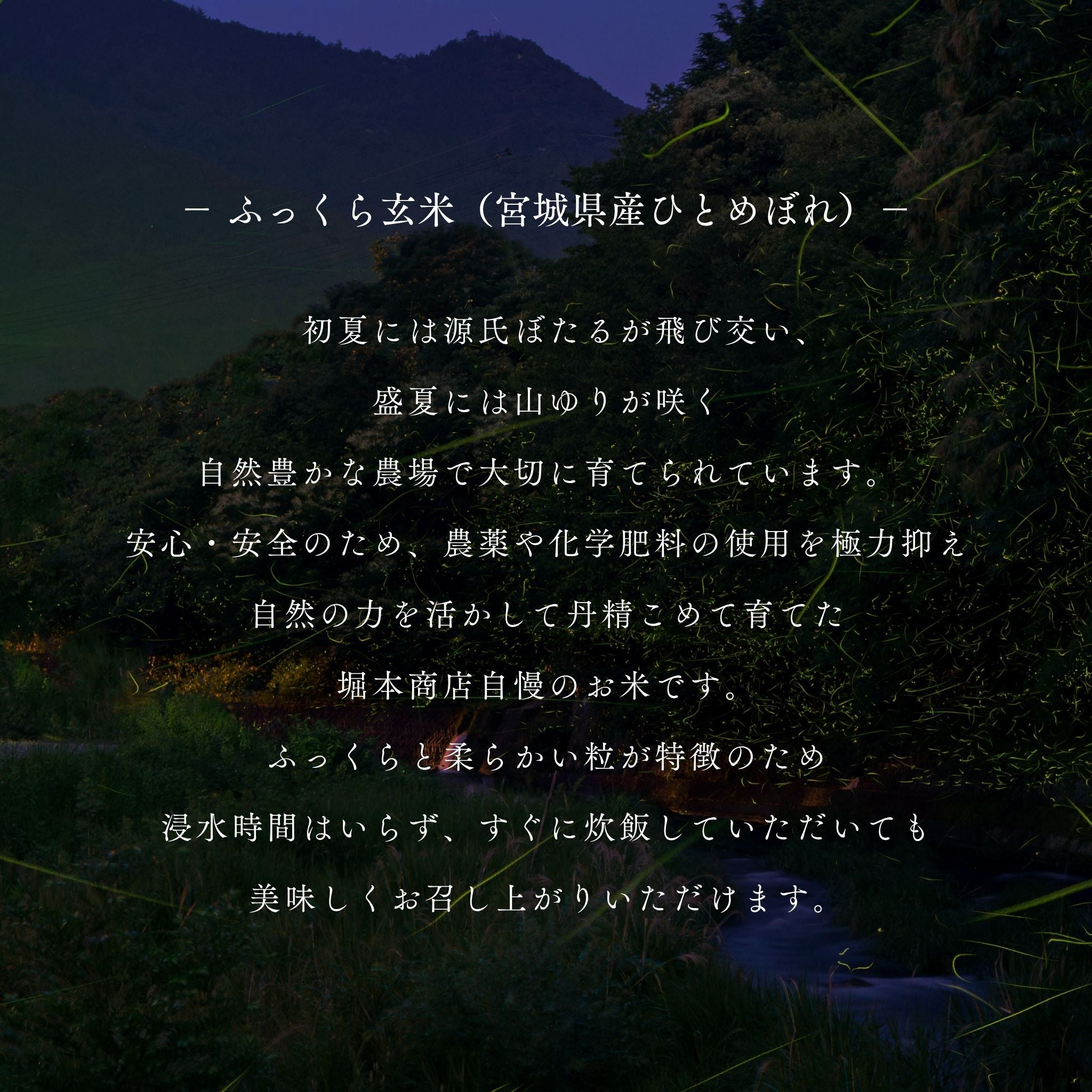 【新米/令和７年度産】ふっくら玄米 10 kg －宮城県産ひとめぼれ