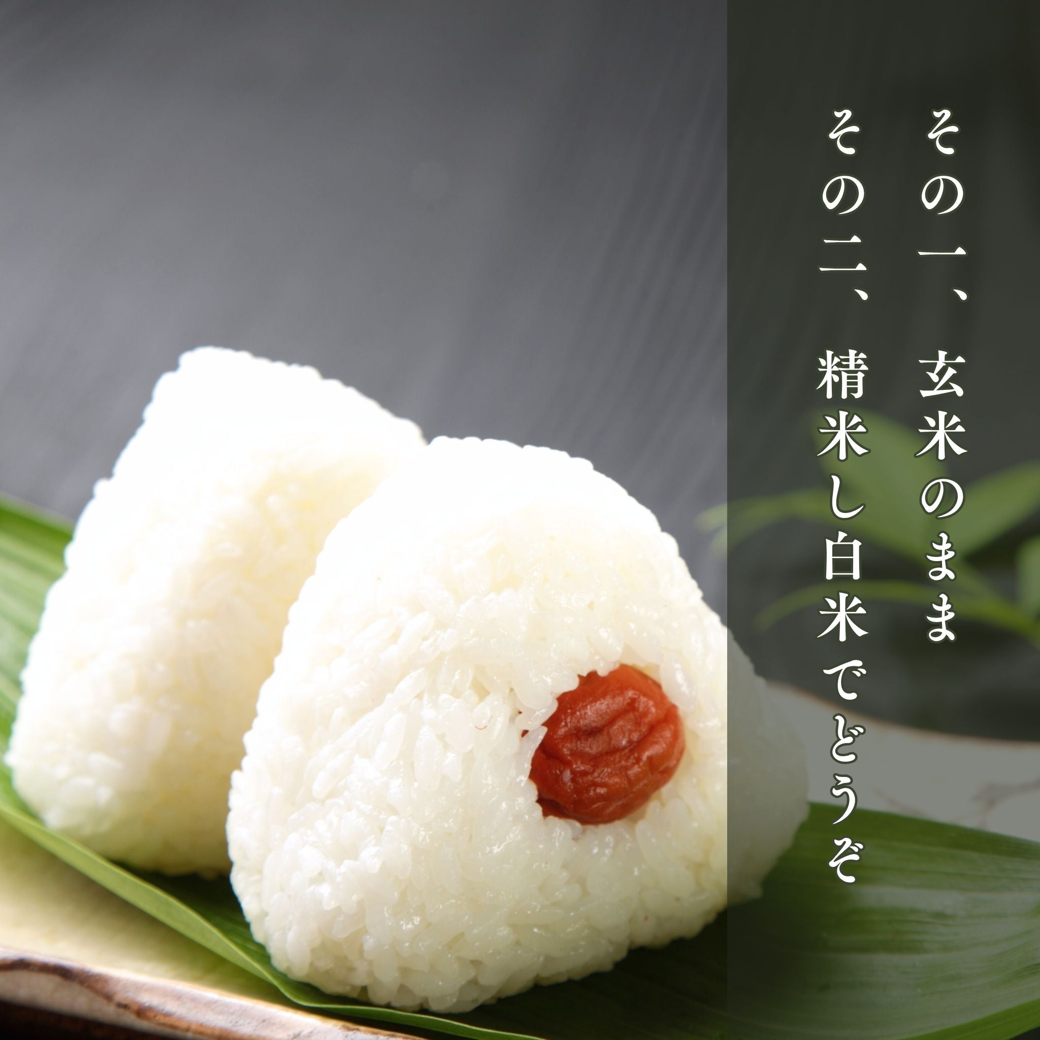 ふっくら玄米10 kg 銘柄：ひとめぼれ(宮城県産) -堀本商店-