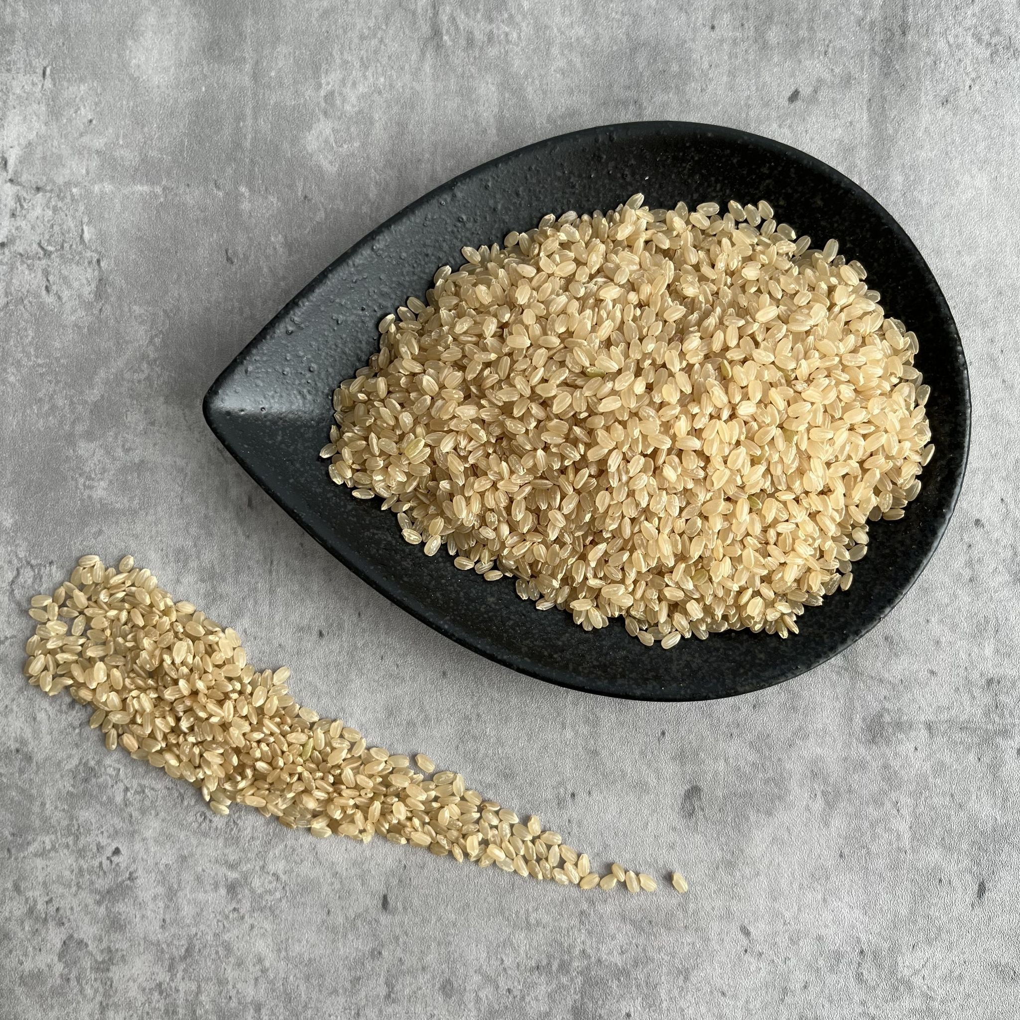 【新米/令和７年度産】ふっくら玄米 10 kg －宮城県産ひとめぼれ